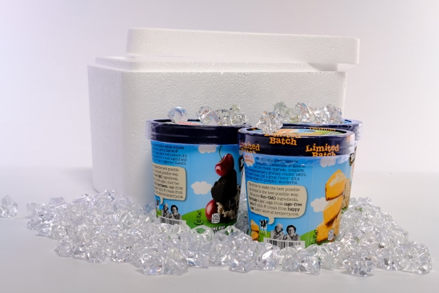 LoBoy Styrofoam Shipping Cooler #200 8.5-Qt High Quality