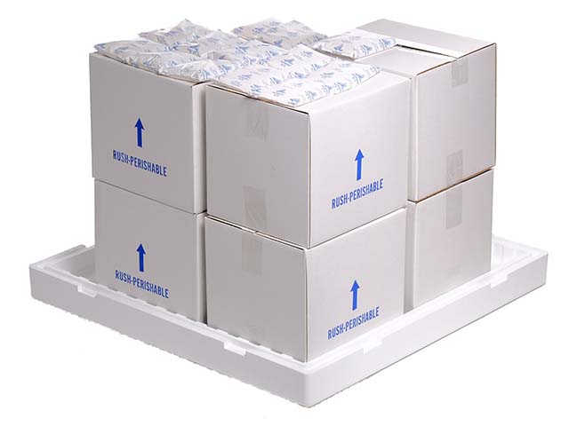 ICE CUBE BOX 12 L - Cool - The Insulated Box.Com