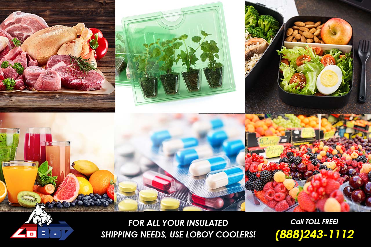 Safely ship Food, Meat, Plants, Beverages, Medicine, Ready-to-Eat and Prepared Meals by Mail with LoBoy Styrofoam Coolers low-cost shipping boxes for meals, meat, seafood, medicine and more.